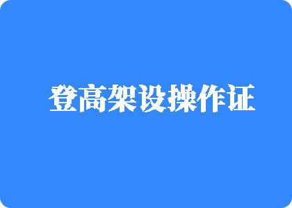 操逼网站观看网址黄色登高架设操作证